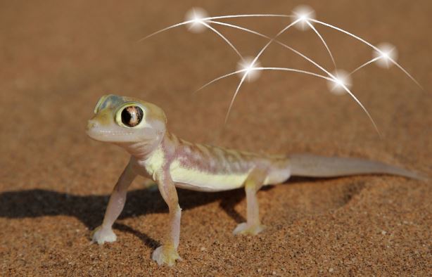 [Translate to Schweiz:] Teaser Bild Gecko Light